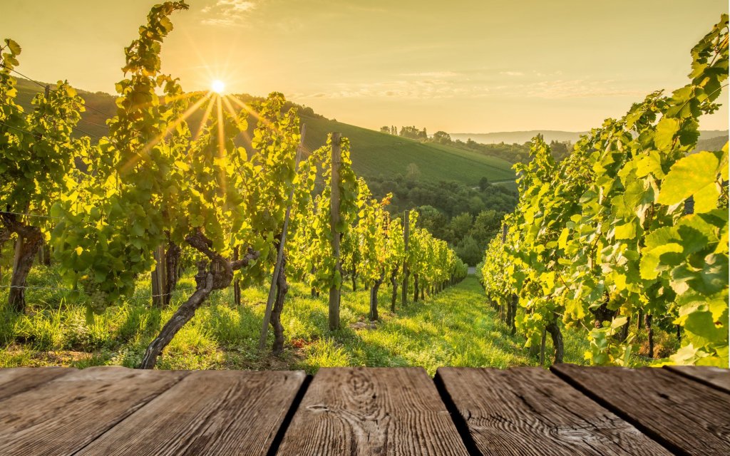 Weinreisen