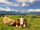 Uriges Bayern mit Berg­bahn und Schmankerln