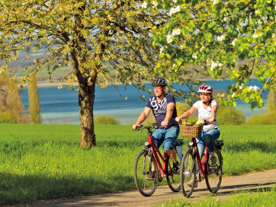 Genussradeln am Untersee C BodenSeeWest Tourismus,Noll