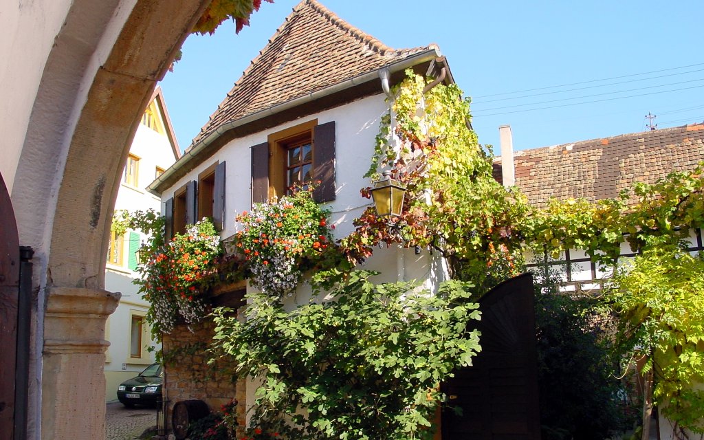 Hambacher Schloss in Neustadt