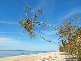 Misdroy Fot.Izabela Klimek