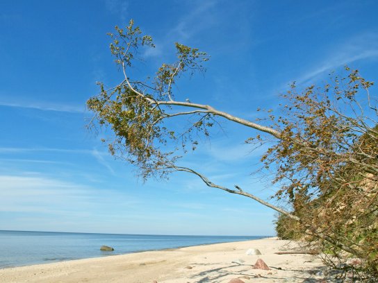 Misdroy Fot.Izabela Klimek