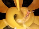 Ab geht die Fahrt: Badespaß im Aqualand!