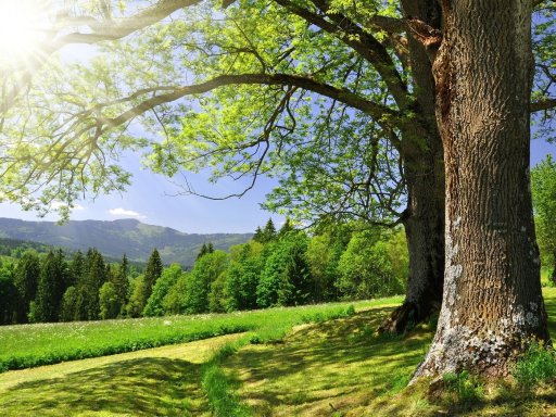 Rübezahls Wanderwoche im Schloss des Grafen