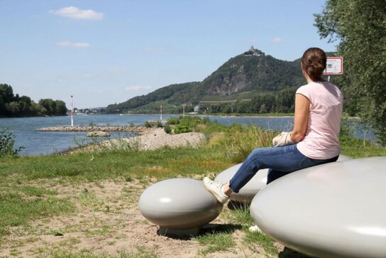 Grafenwerth Sitzkiesel