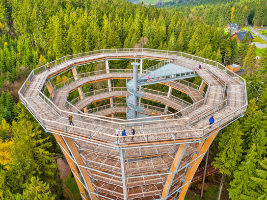 Turm-Von den Würzeln zu den Baumwipfeln