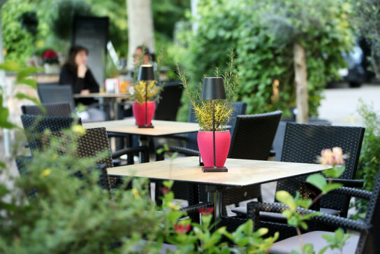 gedeckter Tisch im Park