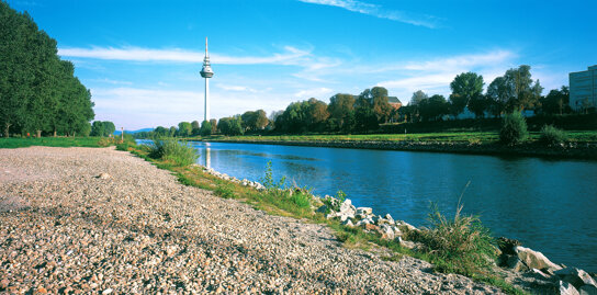 Neckar C Stadtmarekting Mannheim GmbH Thomas Raffler