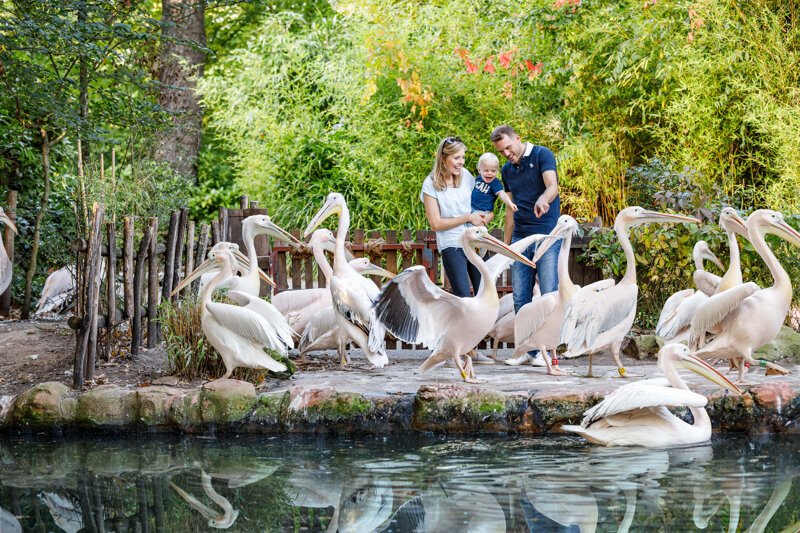 Familie erlebt die Pelikan-Anlage im Westküstenpark