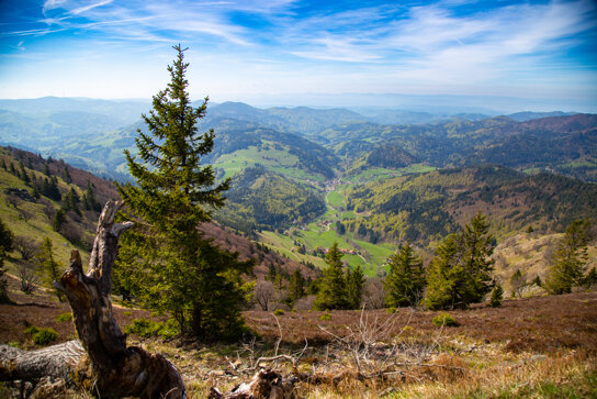 Belchenbahn © Mathias Hollerbach-34